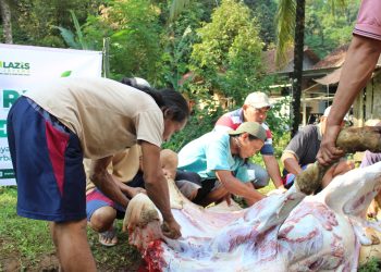 Semangat Iduladha Menembus Batas, Lazis Jateng Kirim Kurban Hingga Aceh dan Palestina